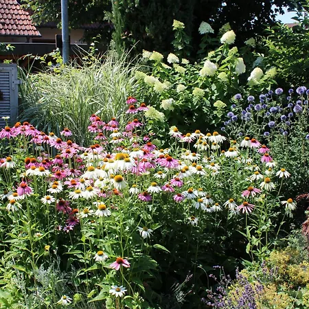 Apartment Im Garten Gengenbach Buitenkant foto