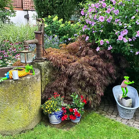 Apartment Im Garten Gengenbach Buitenkant foto