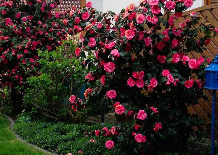 Apartment Im Garten