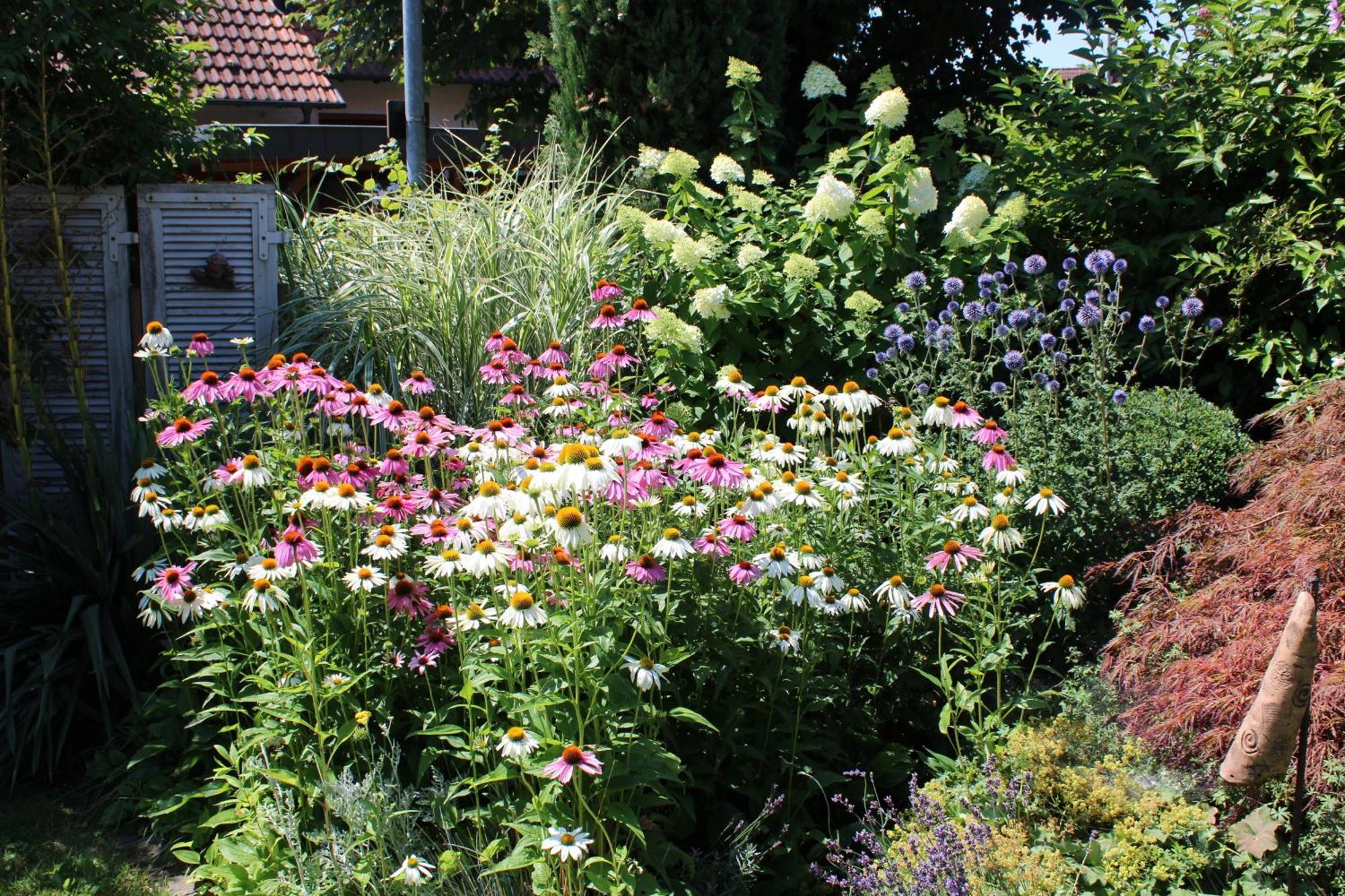 Apartment Im Garten *